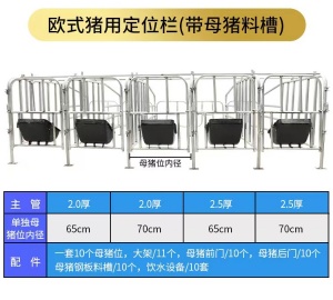 母猪限位栏 母猪定位栏